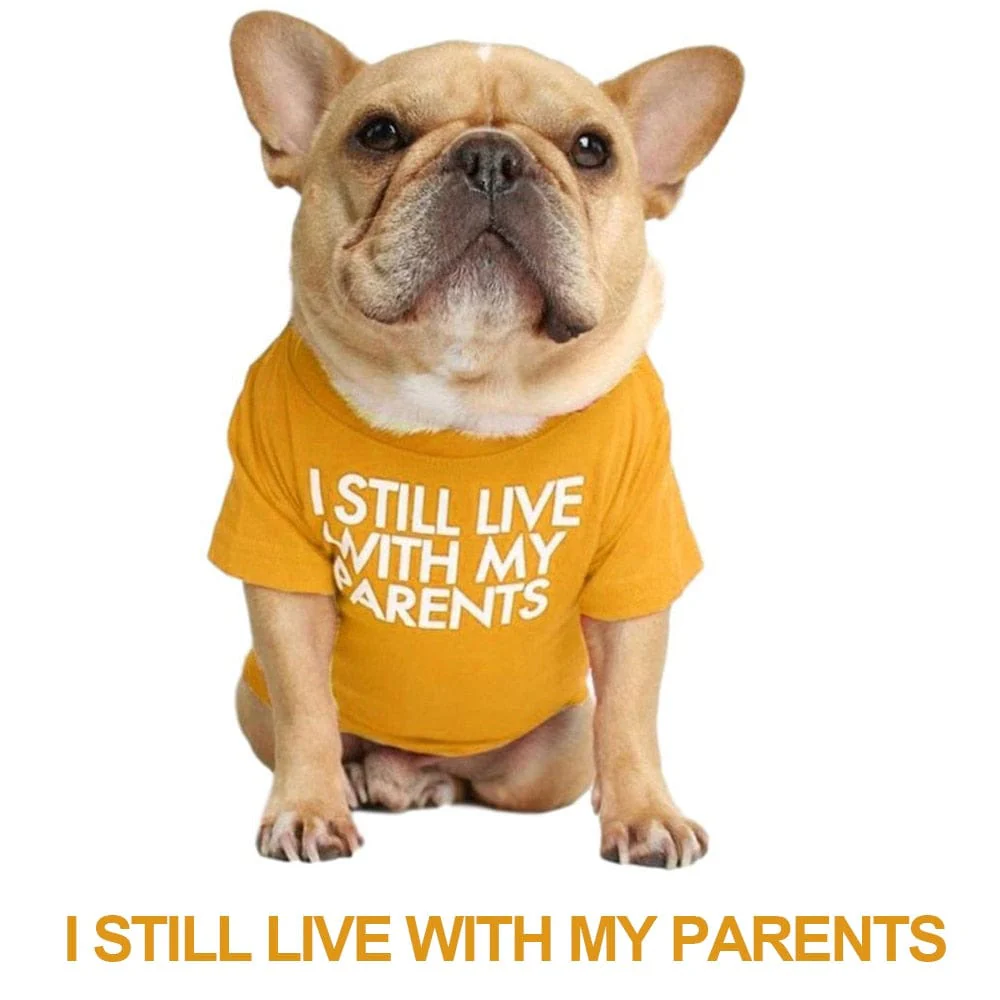 Quality Breathable Pet Clothing - Image 9