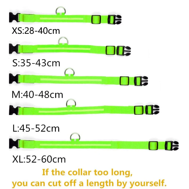 Rechargeable Waterproof LED Glowing Dog Collars - Image 15