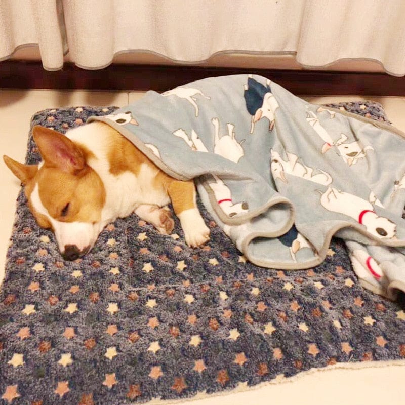 Soft Fleece Pad Blanket Bed Mat - Image 3