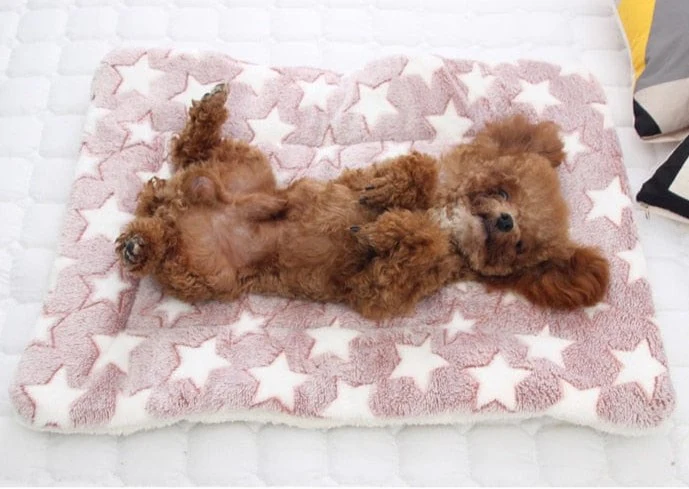 Soft Fleece Pad Blanket Bed Mat - Image 4