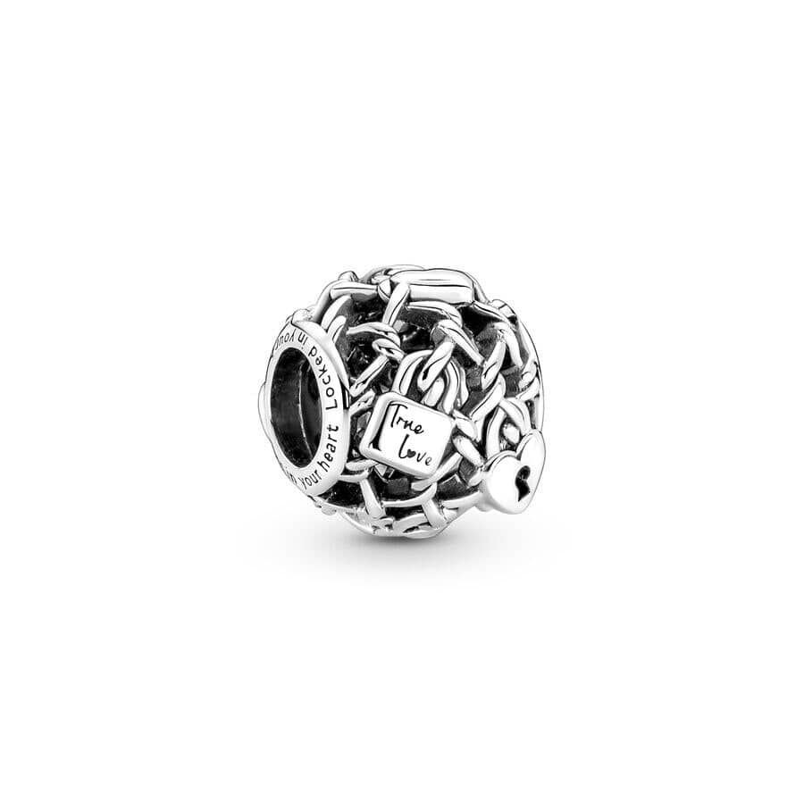 Sterling Silver Paw Print Infinity Charm - Image 45