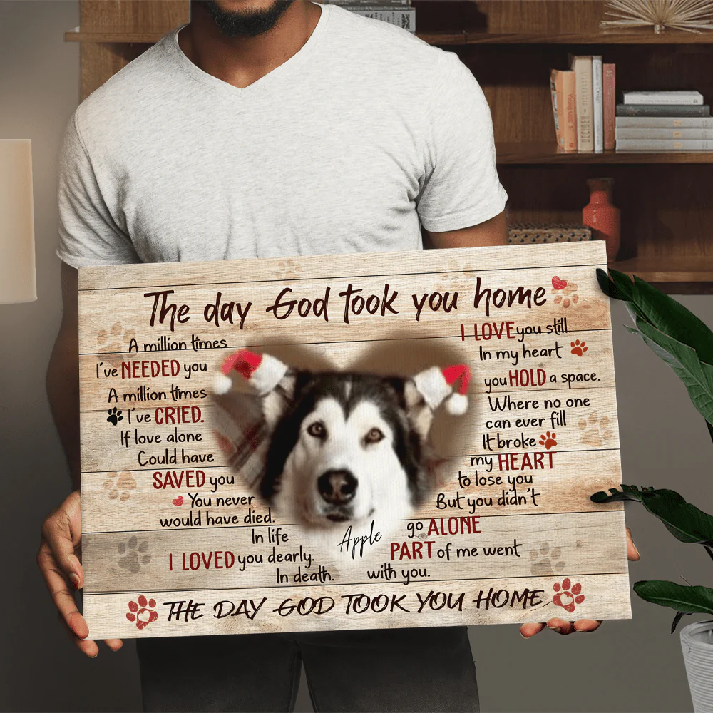 The Day God Took You Home Dog Cat Memorial Print Canvas 892395