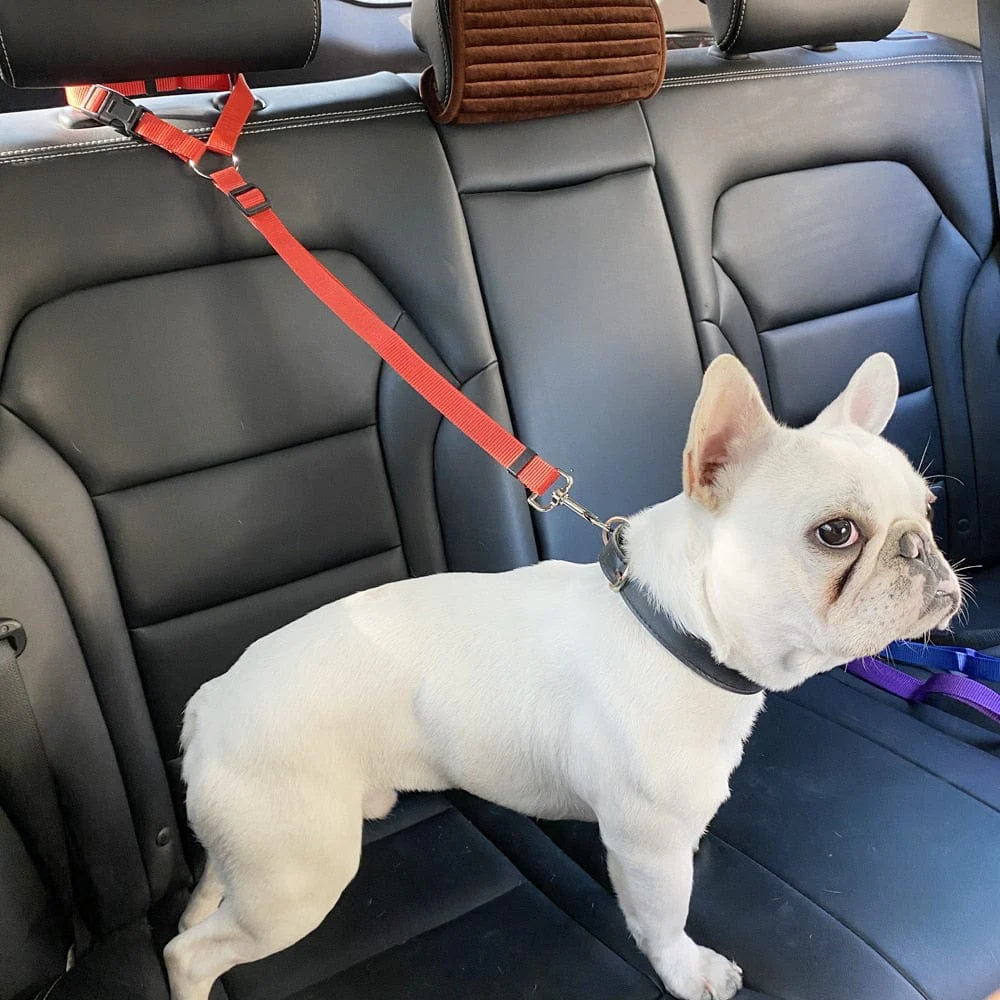 Pet Dog Car Seat Belt Harness Restraint Lead - Image 12