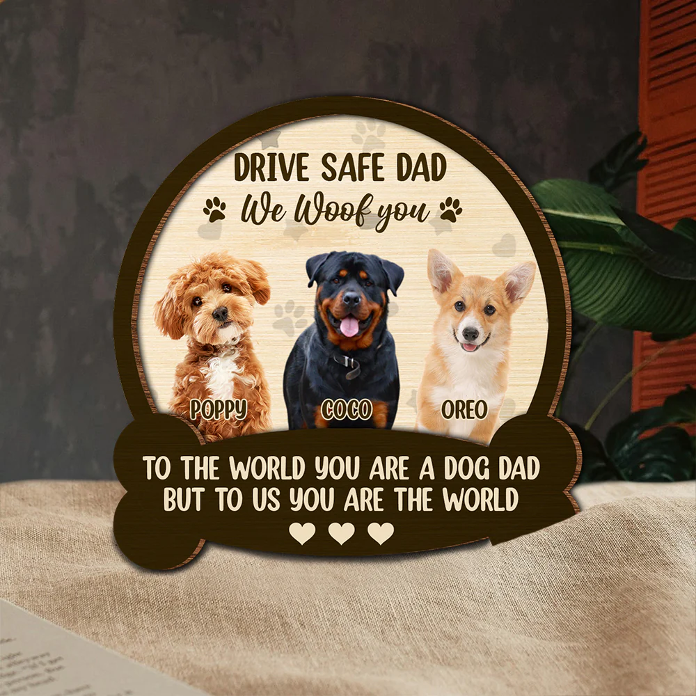 Custom Photo Drive Safe Mom Dad, You Are The World 2 Layered Car Visor Clip CH07 895926 - Image 9