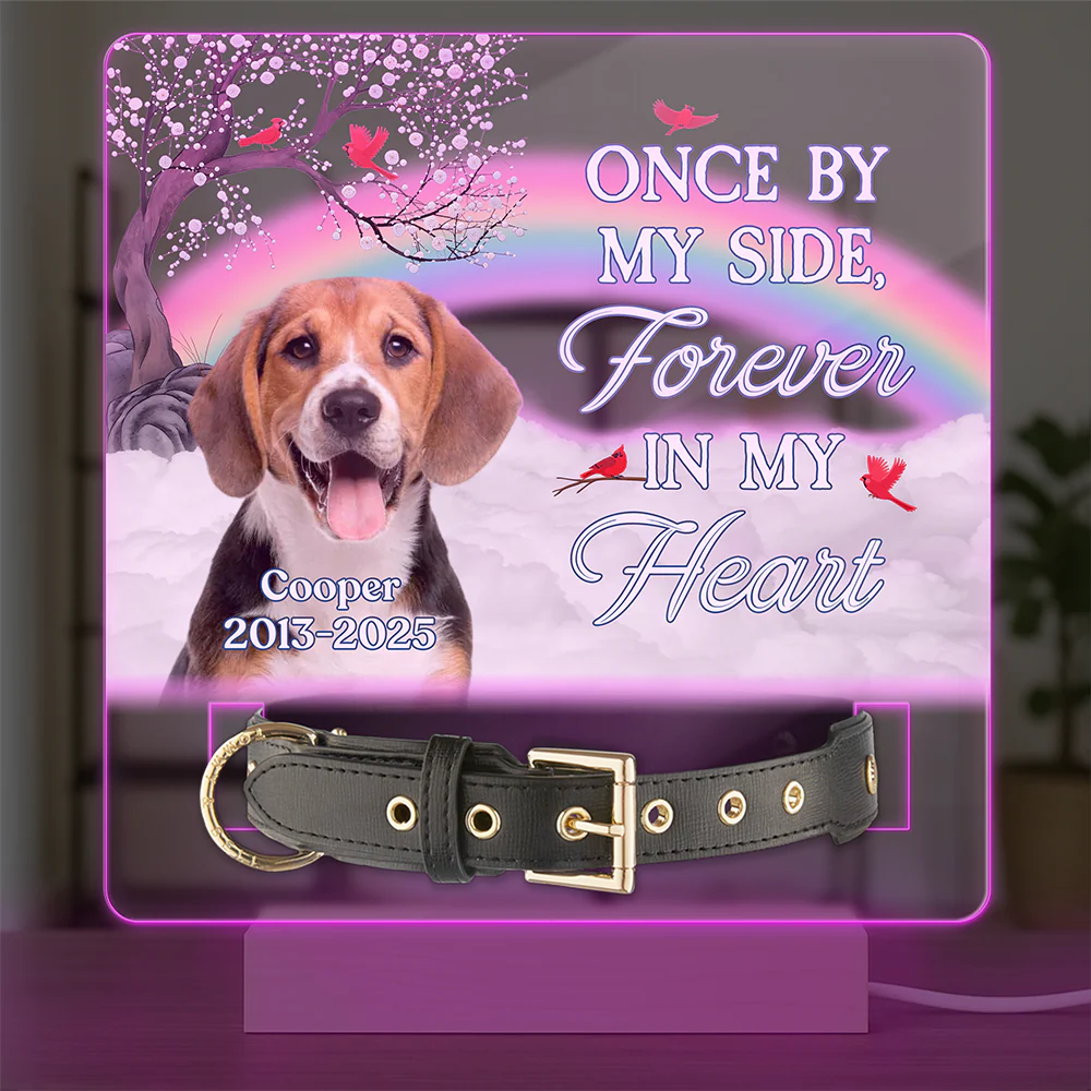 One By My Side Forever In My Heart Custom Dog Cat Memorial Photo Acrylic Collar Frame CH07 896088 - Image 4