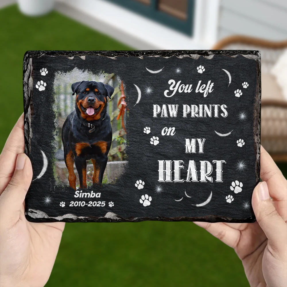 You Were My Favorite Hello Custom Dog Cat in Heaven Photo Rectangle Shaped Stone With Stand Memorial Gift CH07 895482 - Image 4