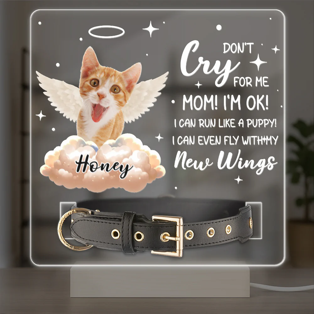 Your Wings Were Ready But My Heart Was Not Custom Pet Photo Acrylic Collar Frame Memorial Gift CH07 896080 - Image 8