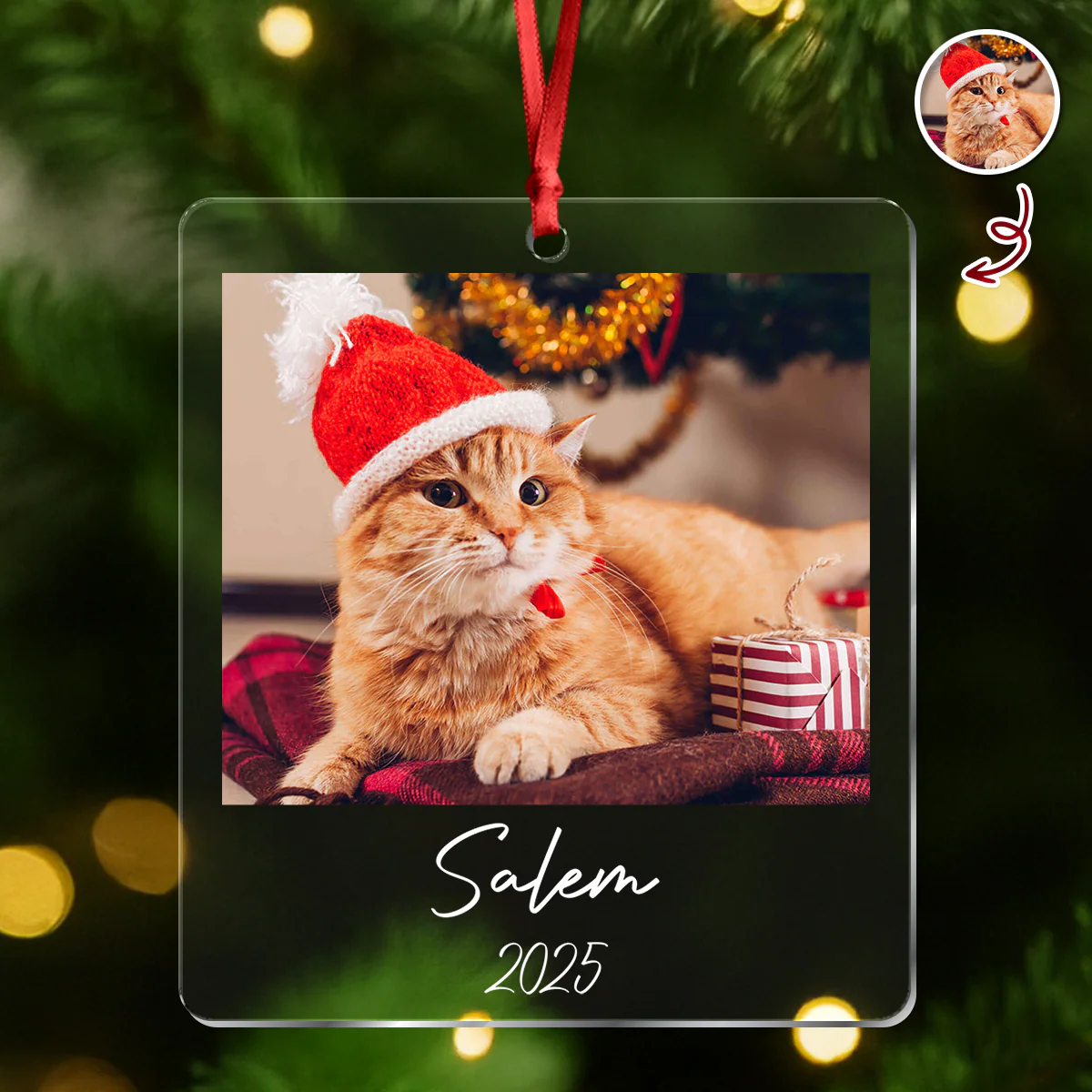 Custom Cat Photo Acrylic Ornament Christmas Gift For Cat Lovers LM32 895771 - Image 5