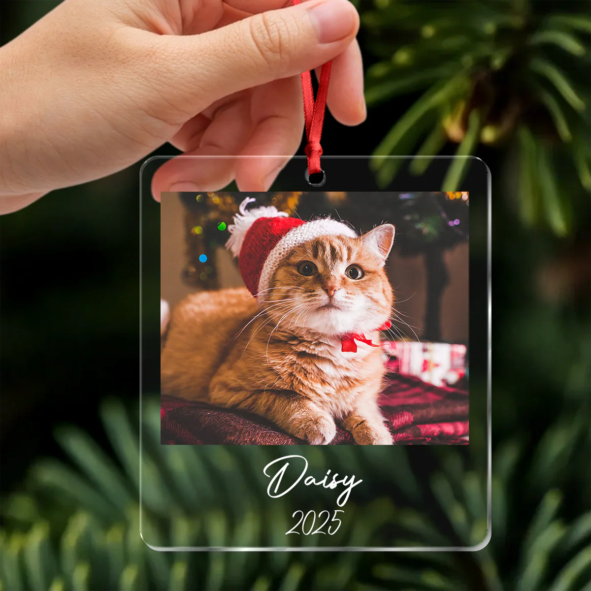 Custom Cat Photo Acrylic Ornament Christmas Gift For Cat Lovers LM32 895771 - Image 6