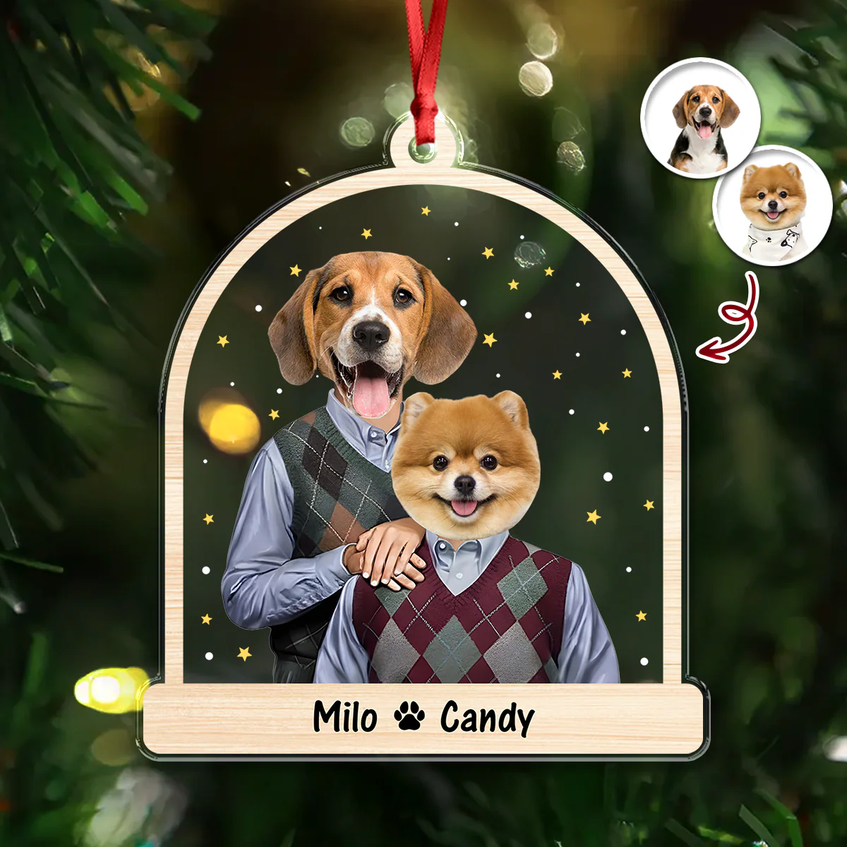 Custom Funny Step Brothers Acrylic Ornament Christmas Gift For Pet Lovers HA75 898272 - Image 3