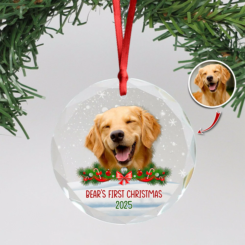 Custom Photo Dog First Christmas Glass Ornament HA75 897258 - Image 9