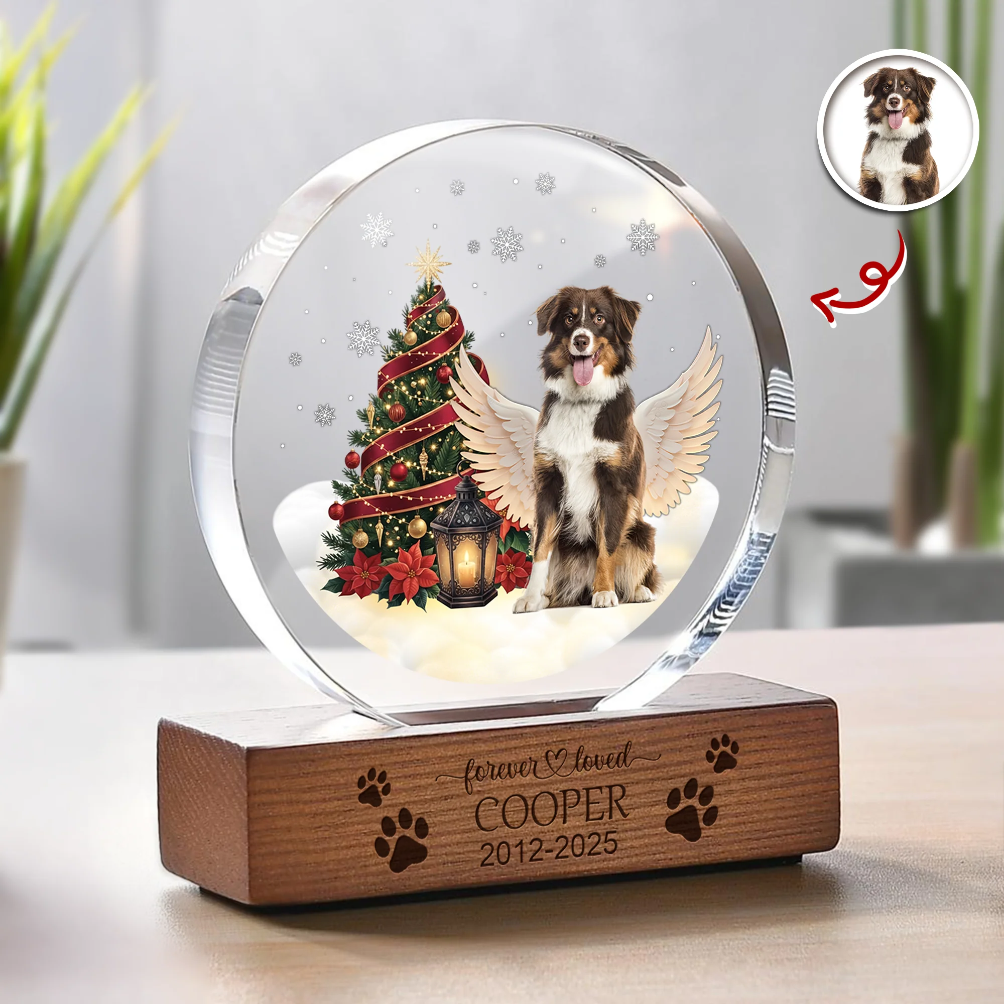 Custom Photo Forever Loved Memorial Dog Cat Round Acrylic Frame Block HA75 898008 - Image 2