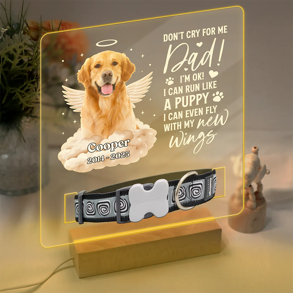 Custom Photo I Can Run Like A Puppy, I Can Even Fly With My New Wings - Memorial Personalized Acrylic Collar Frame CH07 896090 - Image 4