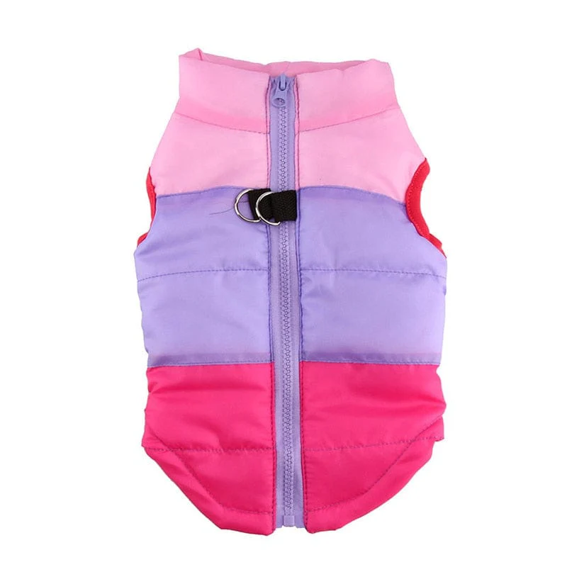 Halloween Warm Dog Clothes For Small Dg - Image 13