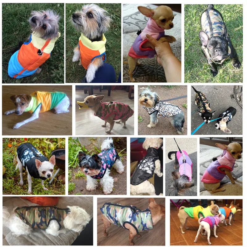 Halloween Warm Dog Clothes For Small Dg - Image 17
