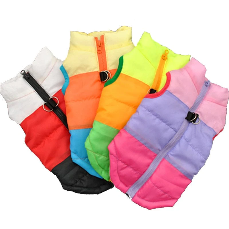 Halloween Warm Dog Clothes For Small Dg - Image 18
