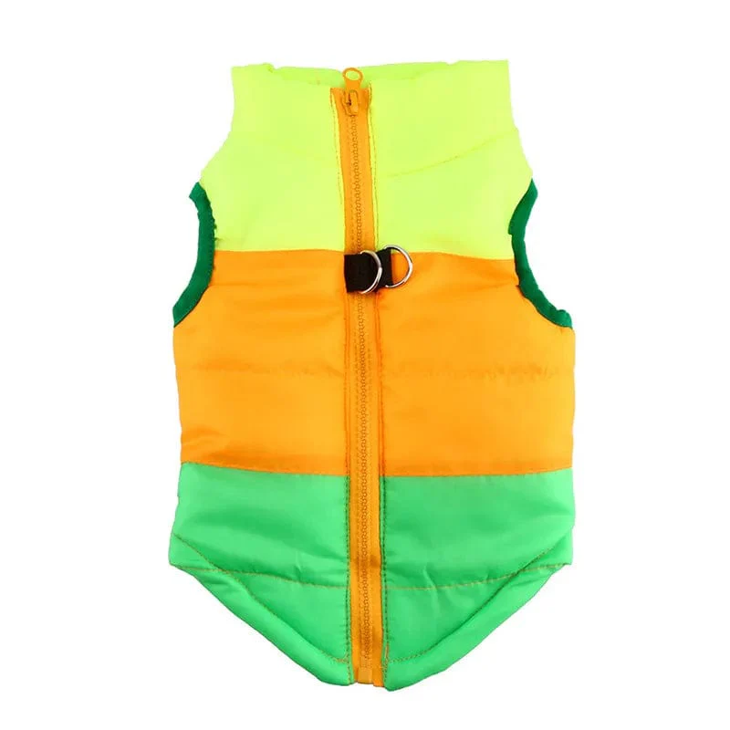 Halloween Warm Dog Clothes For Small Dg - Image 9