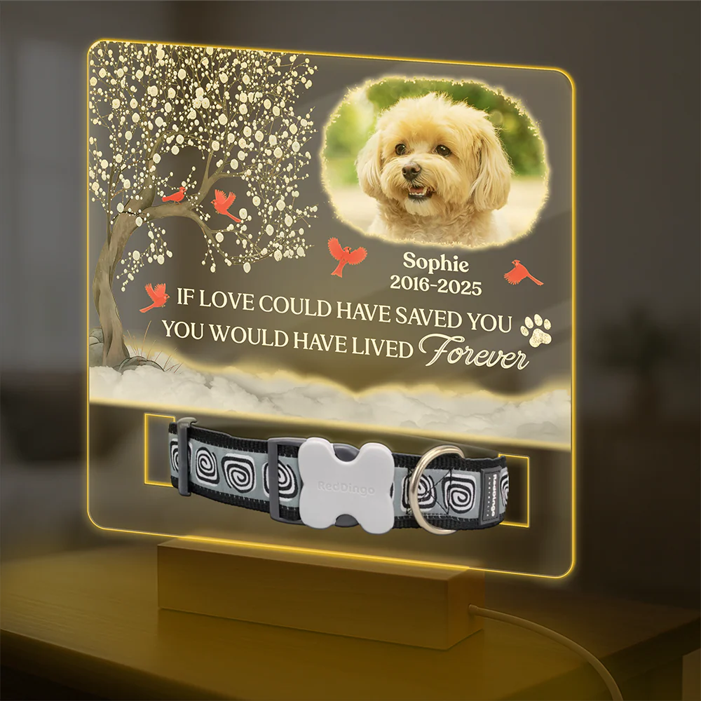 You Were My Favorite Hello And My Hardest Goodbye - Custom Pet Memorial Acrylic Collar Frame CH07 896082 - Image 2