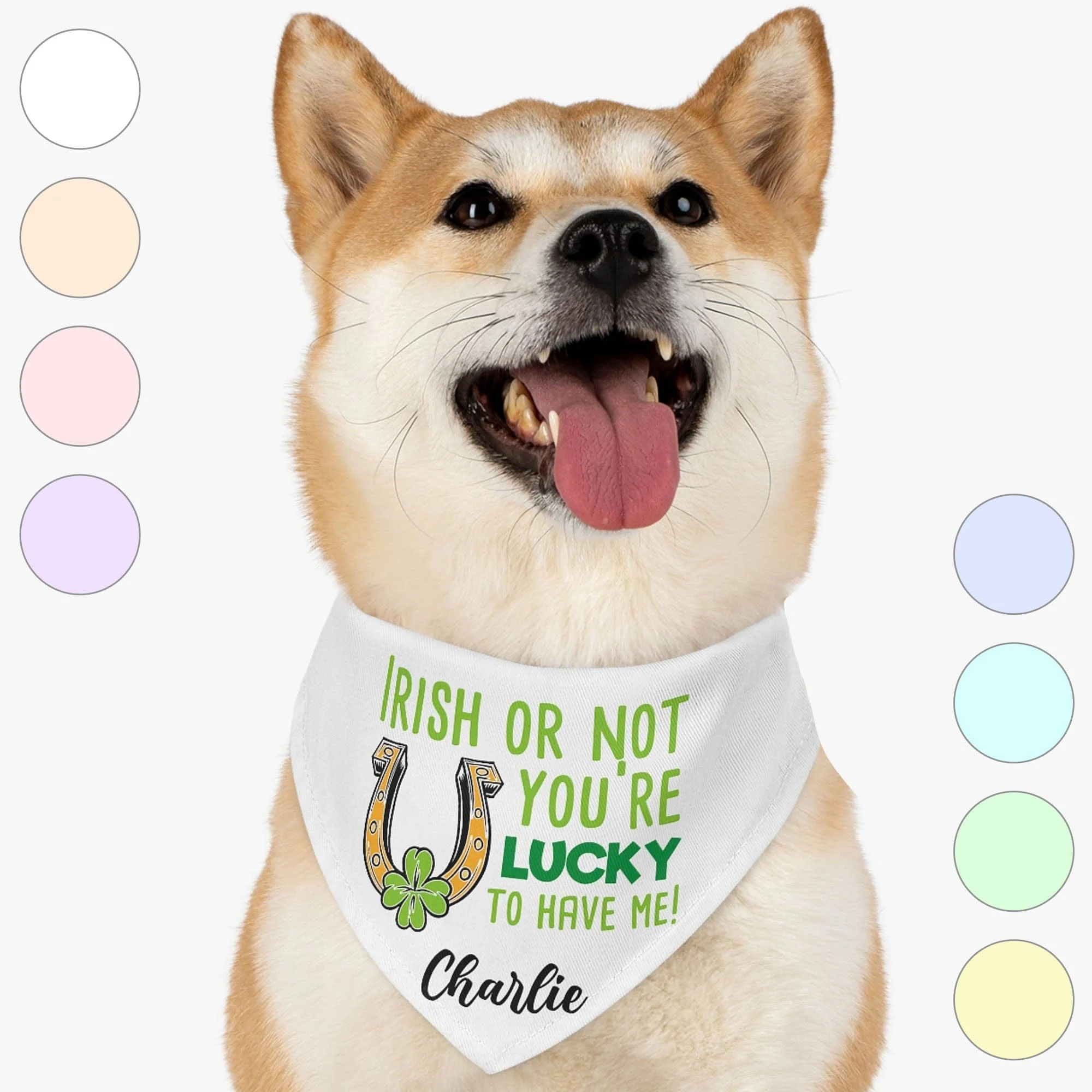 You're Lucky To Have Me St. Patrick's Day Personalized Dog Cat Pet Bandana C622